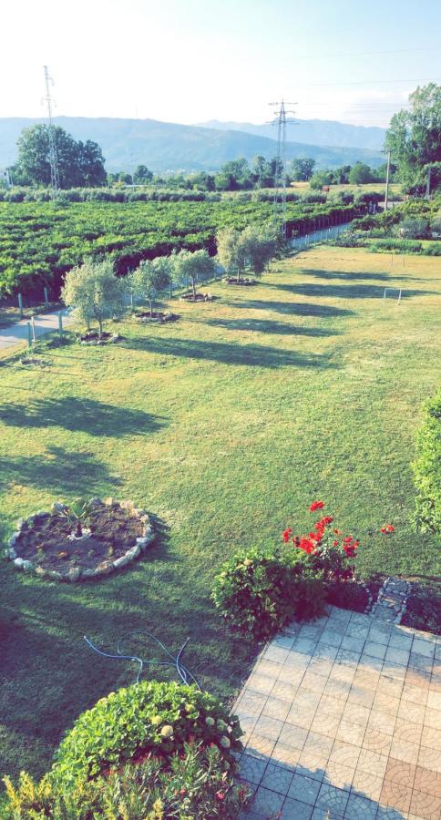 Casa Nita Apartment Ulcinj Bagian luar foto