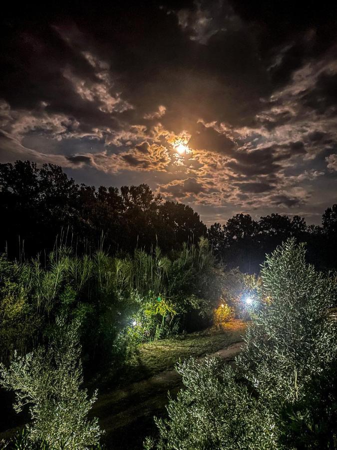 Casa Nita Apartment Ulcinj Bagian luar foto