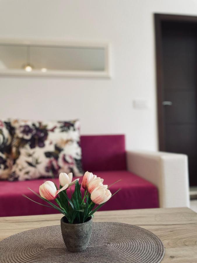 Casa Nita Apartment Ulcinj Bagian luar foto